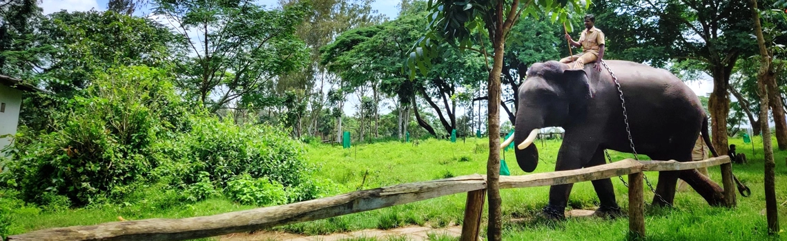 coorg-blog