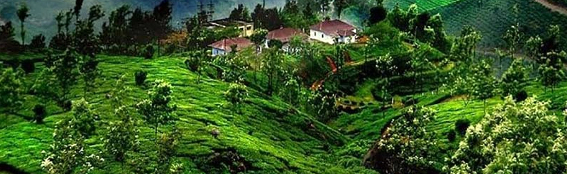 coorg-for-first-time-visitor