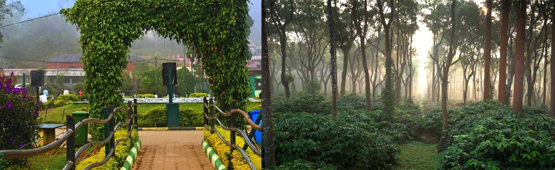 coorg17