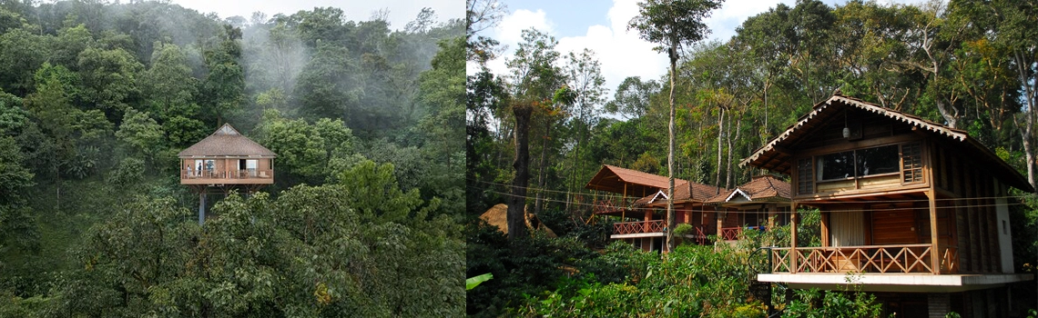 coorgs-rainforest-lodges-for-wildlife-lovers