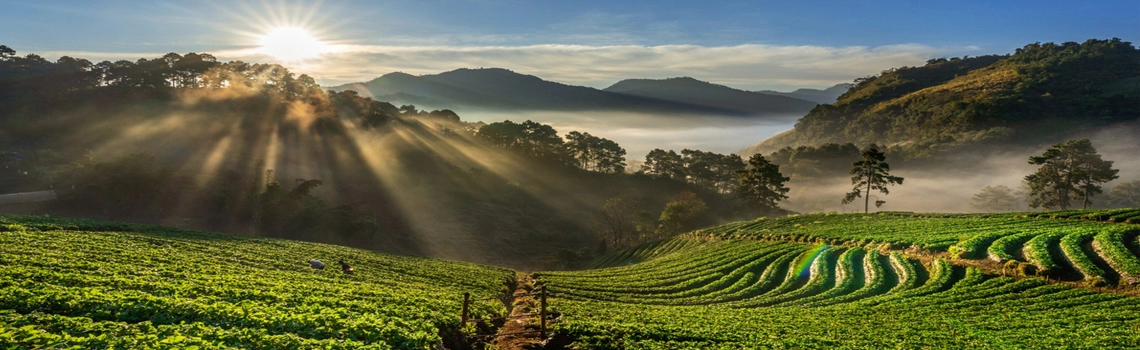 exploring-coorgs-lesser-known-viewpoints-at-dawn