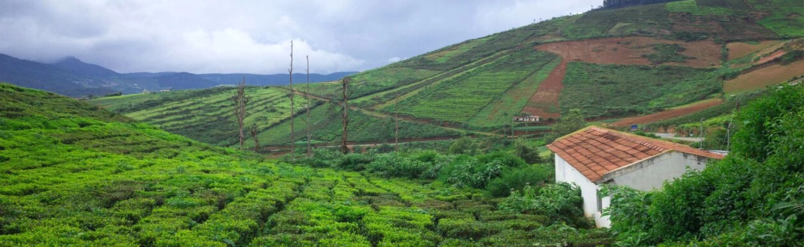 kid-friendly-coorg-activities-and-resorts