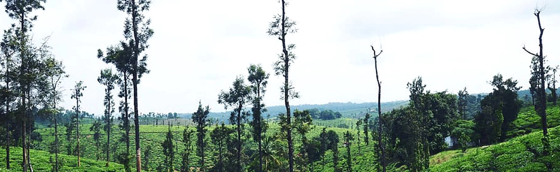 mini-vacation-ideas-in-coorg
