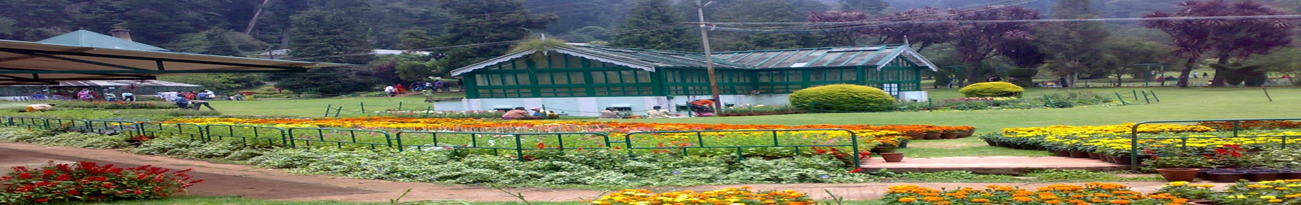 botanical-garden-ooty