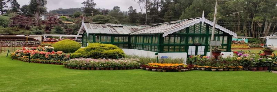 botanical-garden-ooty