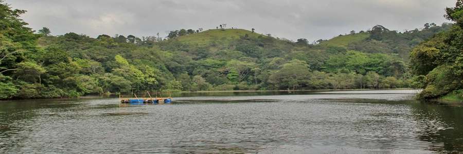 pookode-lake