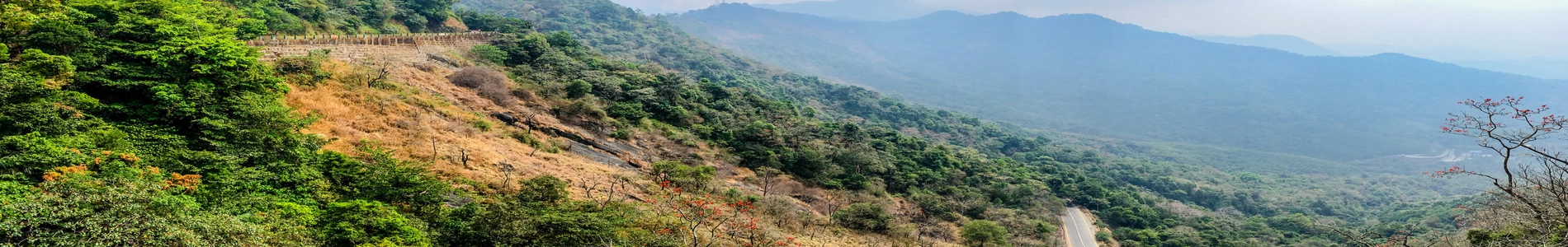 lakkidi 1