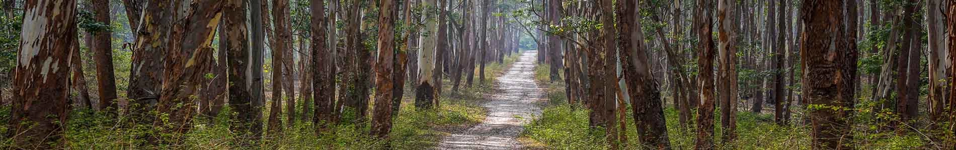 muthanaga-wildlife