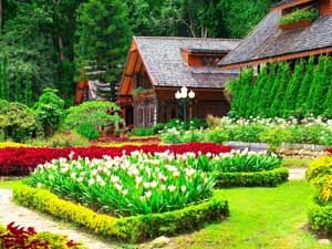 botanical-garden-ooty